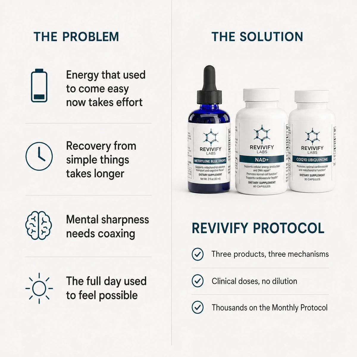 Revivify Protocol slide 05