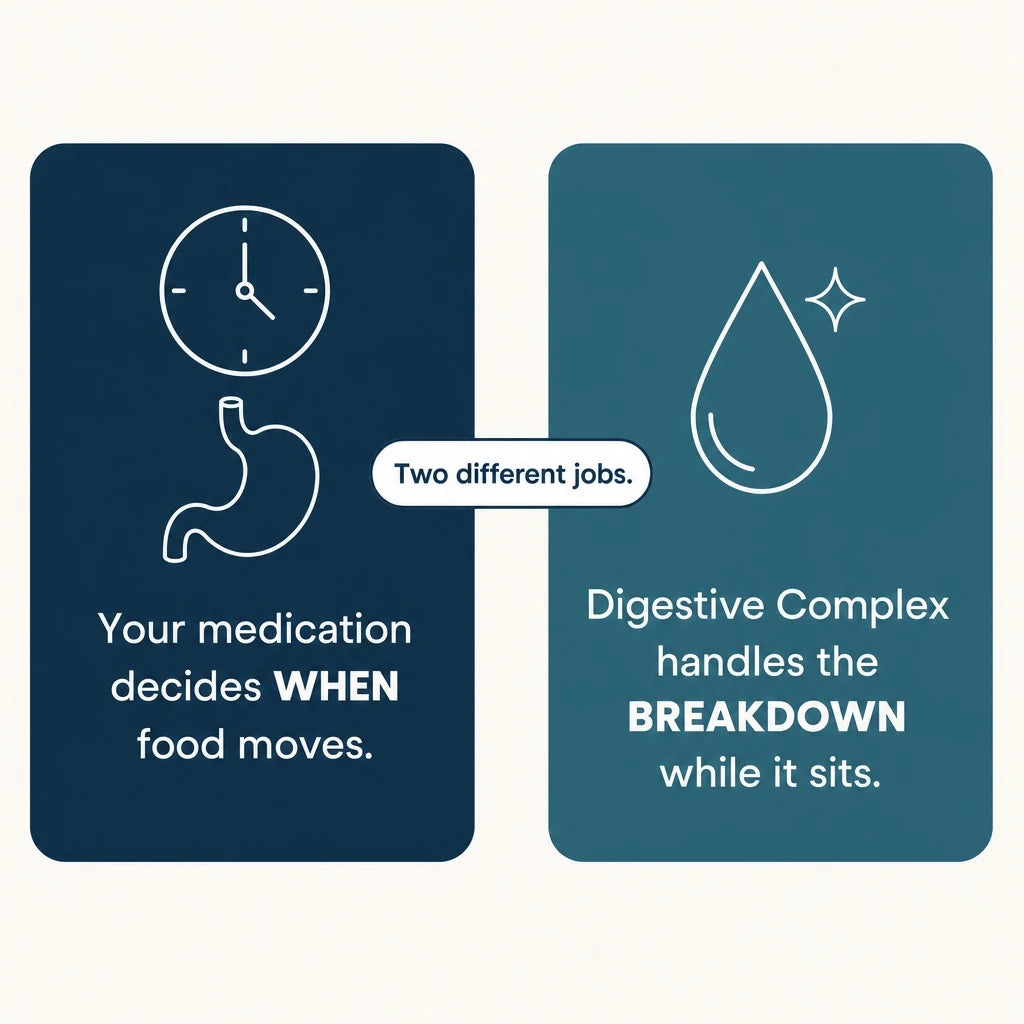 Diagram: your medication decides when food moves; Digestive Complex handles the breakdown while it sits. Two different jobs.