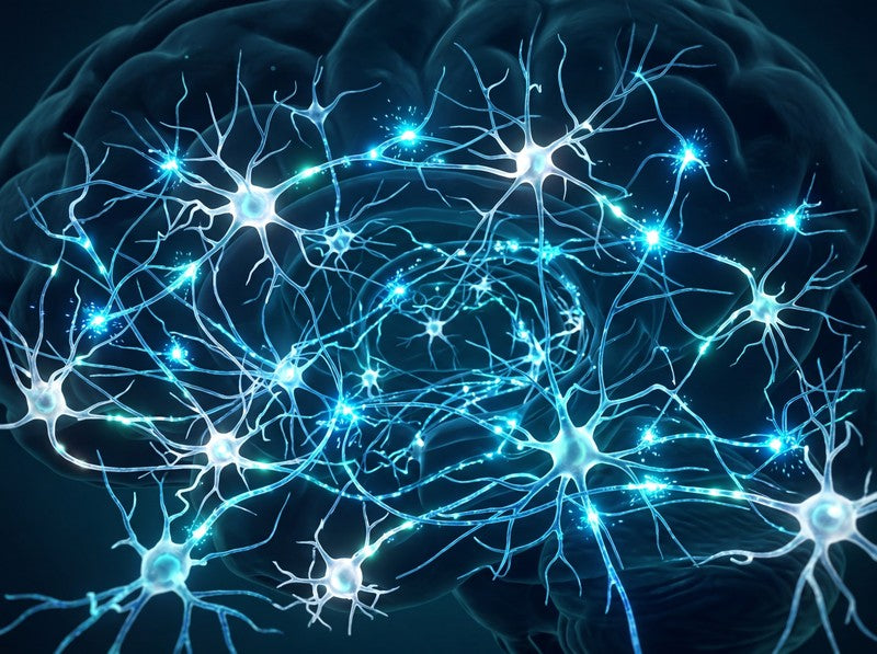 Rebuild Your Brain's Operating System
